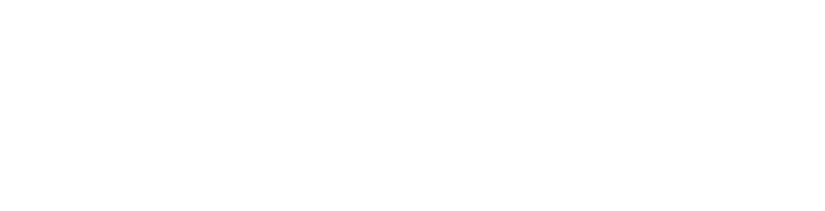 Mint Capital Vertex